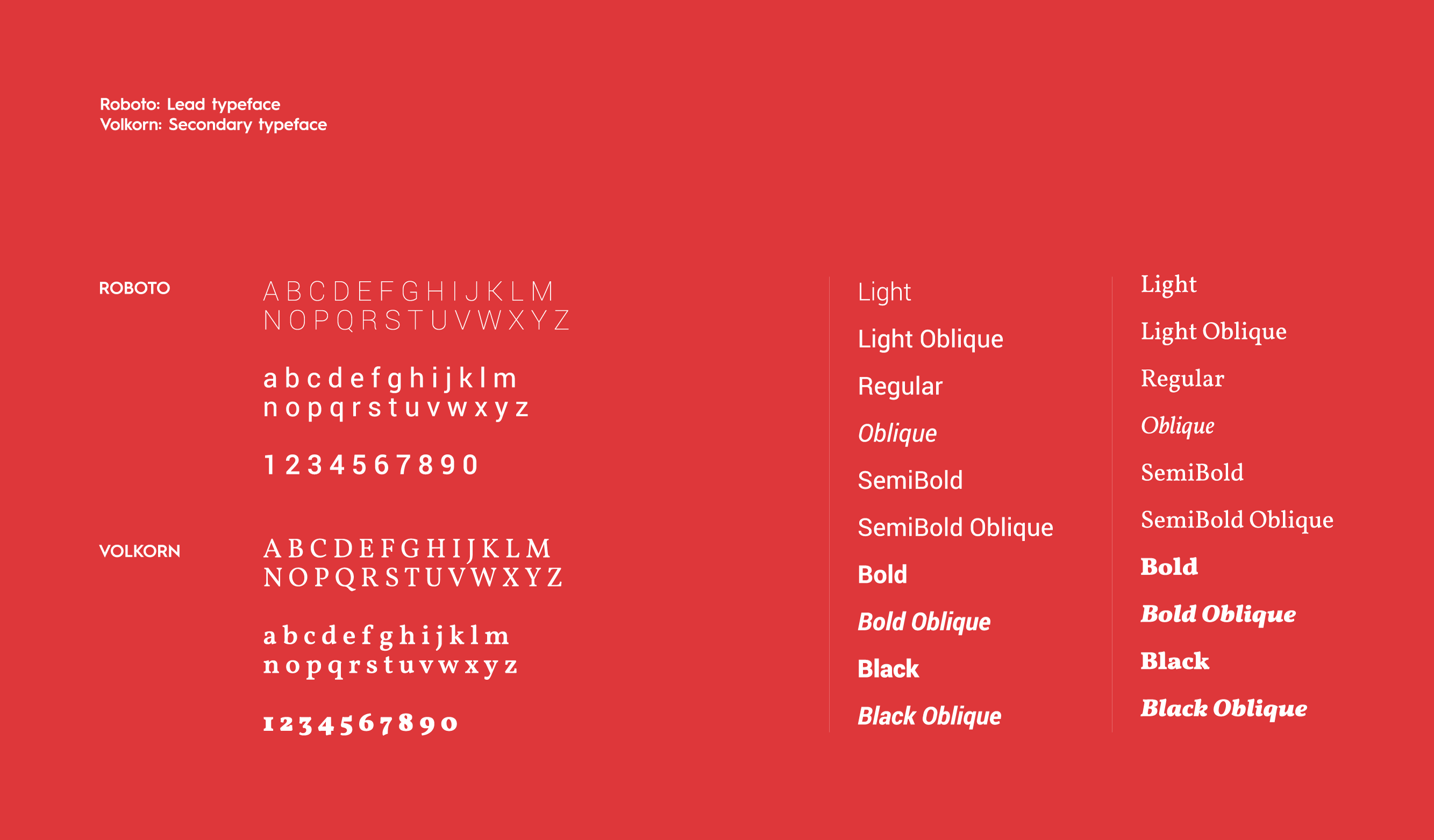 India Development Review, IDR, Branding & Logo Design
